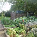october garden