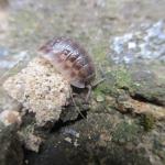 2.IMG_0977
