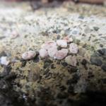 2.IMG_0984