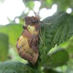 2.IMG_1022