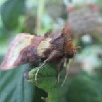 2.IMG_1027