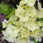 2.IMG_1058