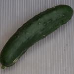 DSC04761