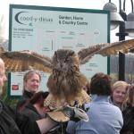 Eagle Owl