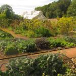 National Botanics  00048
