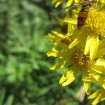2.IMG_1283