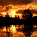 Beauville - 14