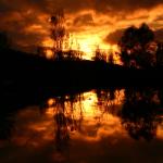Beauville - 28