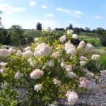 National Botanics 13.9.12 026