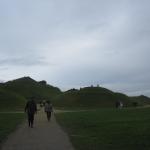 IMG_4597.JPG