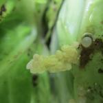 2.IMG_1379