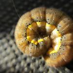 2.IMG_1397