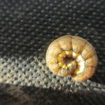 2.IMG_1398