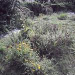 DSCN2085.JPG
