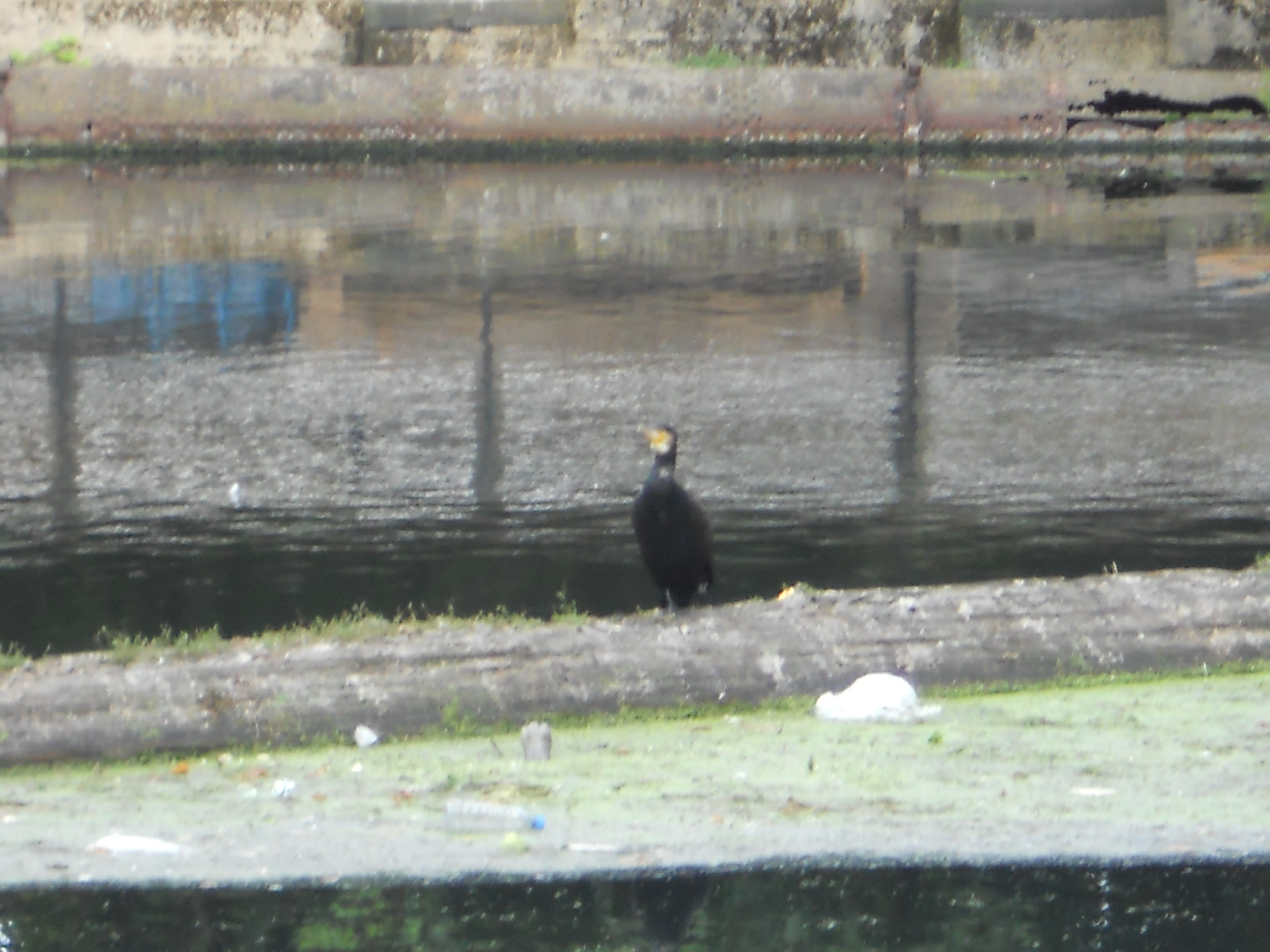 DSCN2137.JPG
