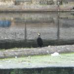 DSCN2137.JPG