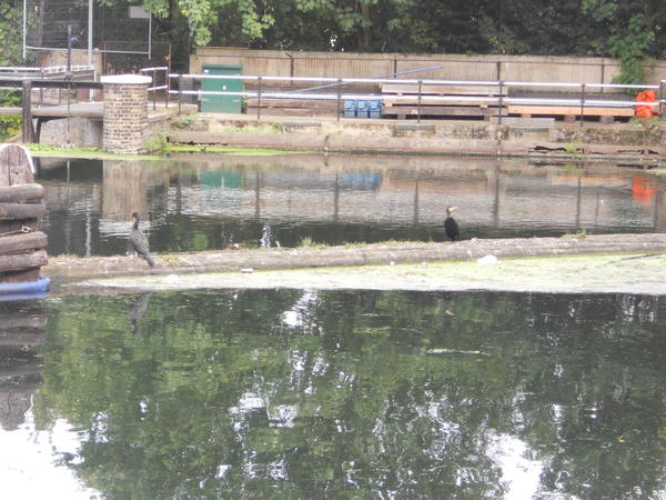 DSCN2140.JPG