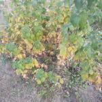 DSCN2177.JPG