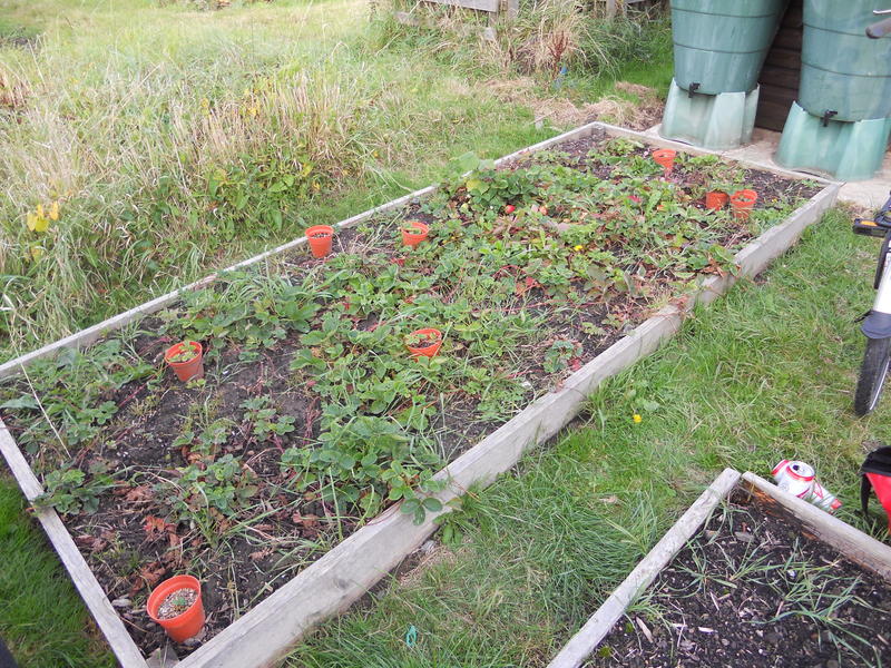 DSCN2252.JPG