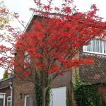 DSCF0089