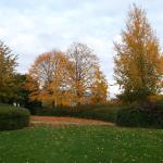 DSCF0093