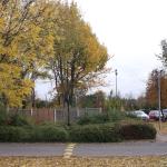 DSCF0095