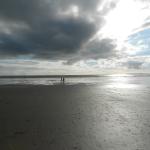 DSCN2619.jpg