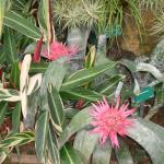 DSCN2658.jpg