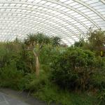 DSCN2681.jpg