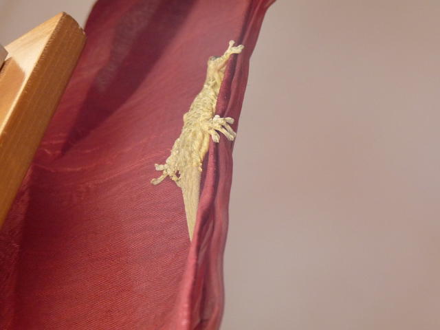 P1070477