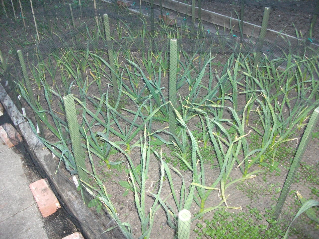 DSCF4824