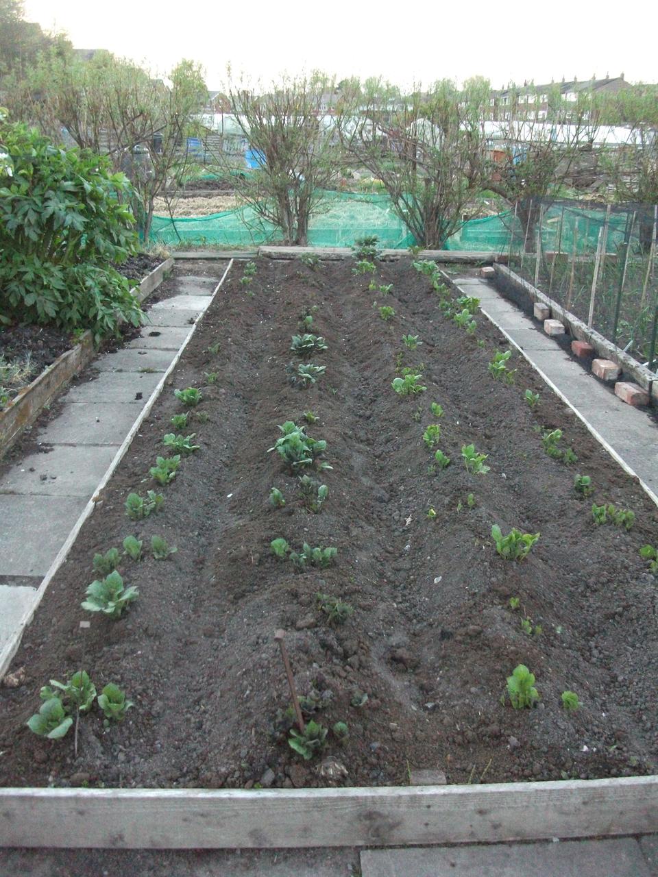 DSCF4826