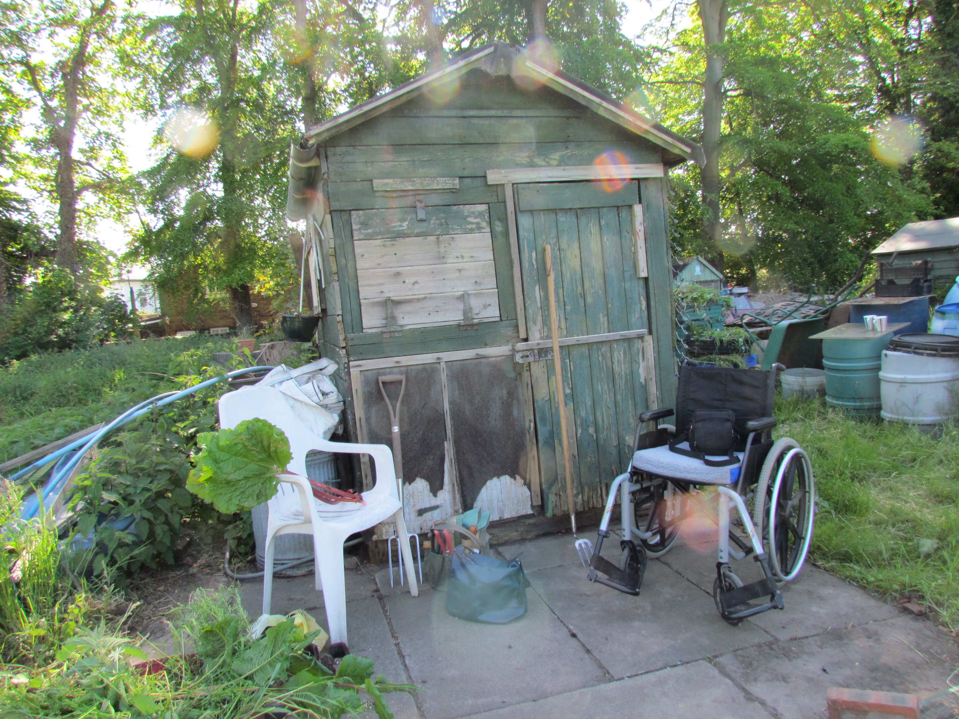 Arthur grden and allotment 012