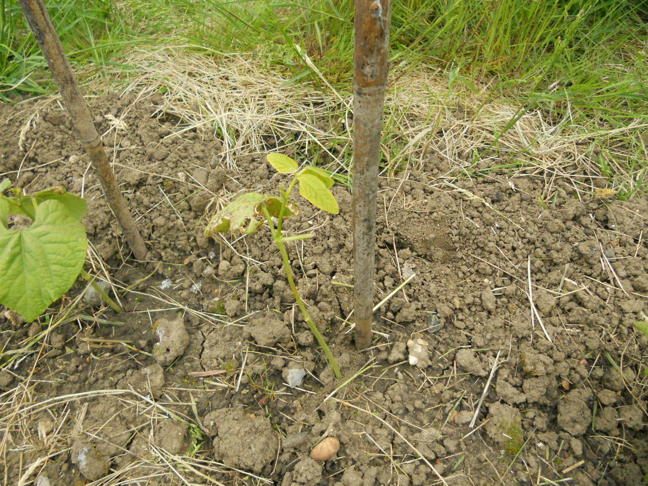 DSCN0346.JPG