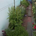 DSCF5054