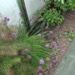 DSCF5056