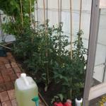 DSCF5093