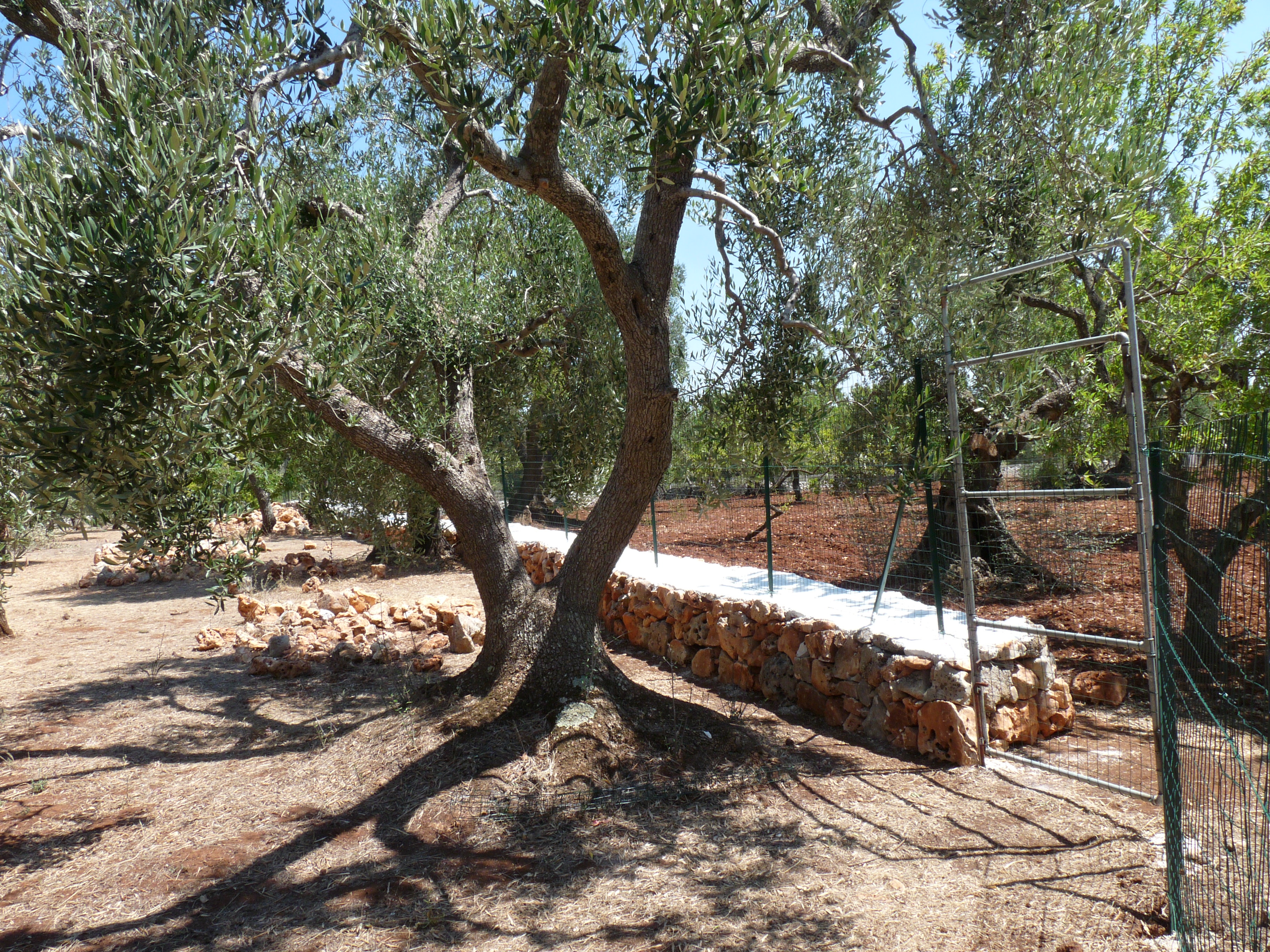 P1080174