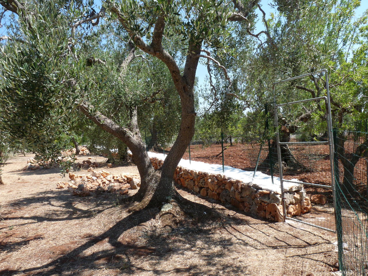P1080174