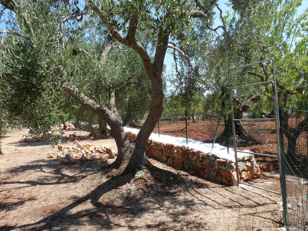 P1080174