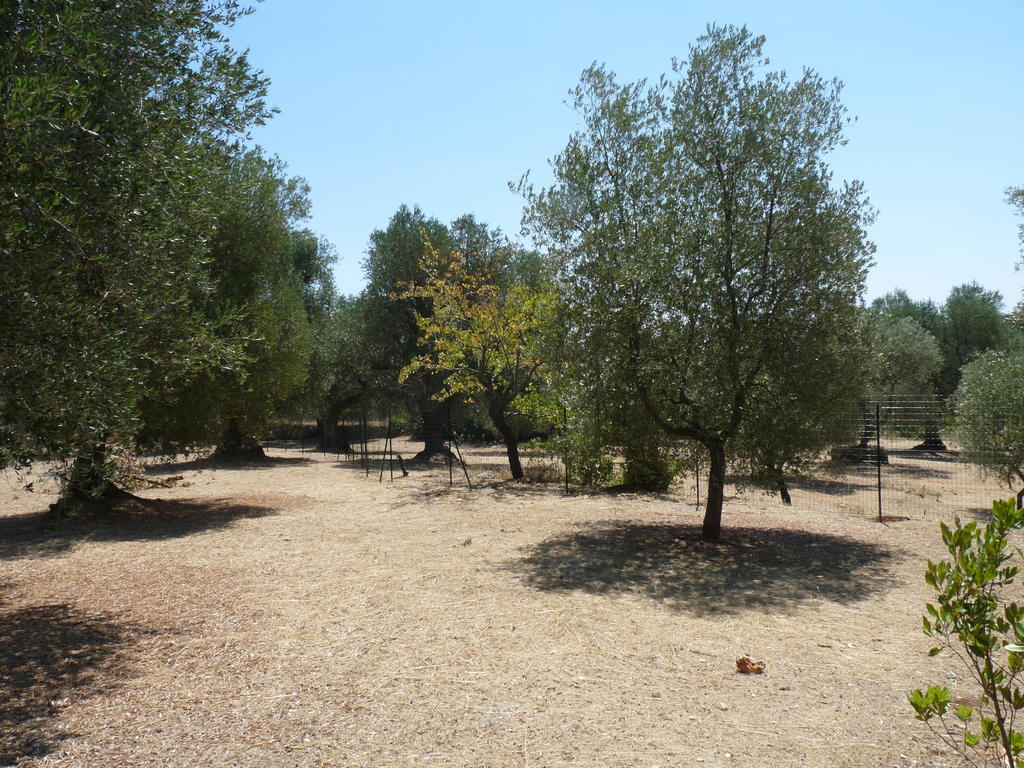 P1080228