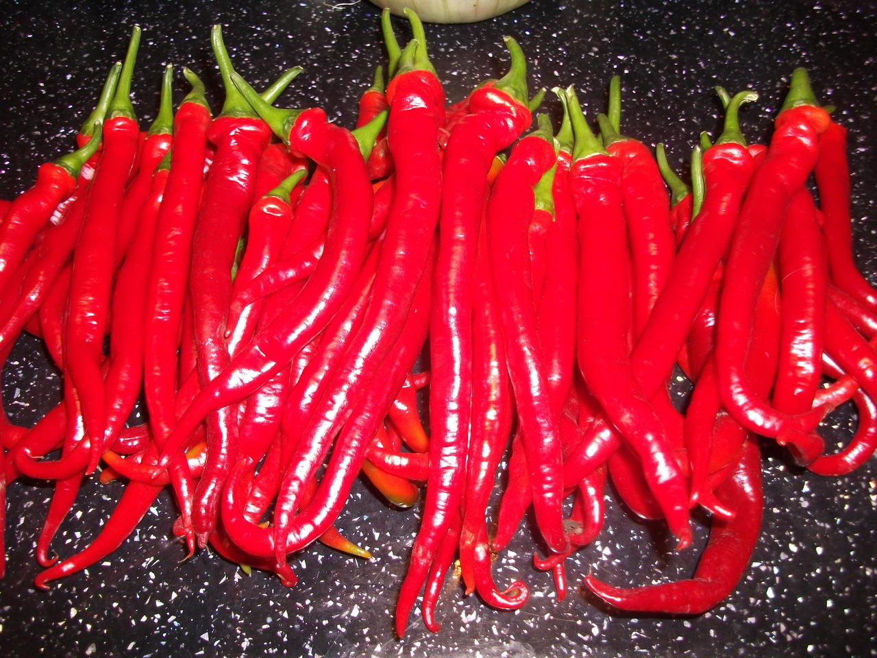 DSCF5547