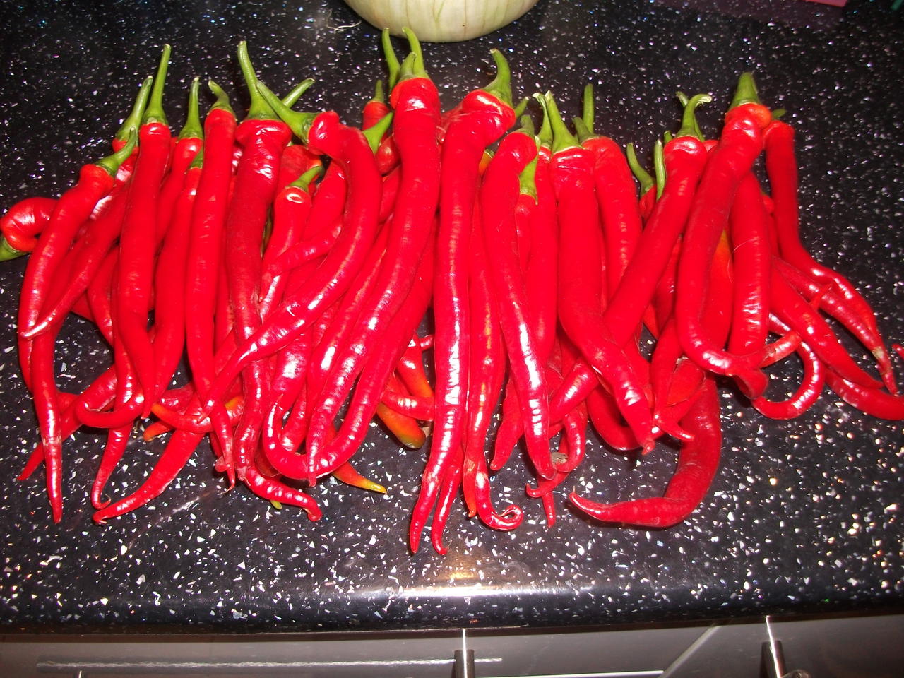DSCF5548