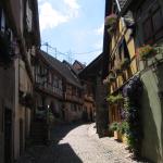 Narrow Shady Streets