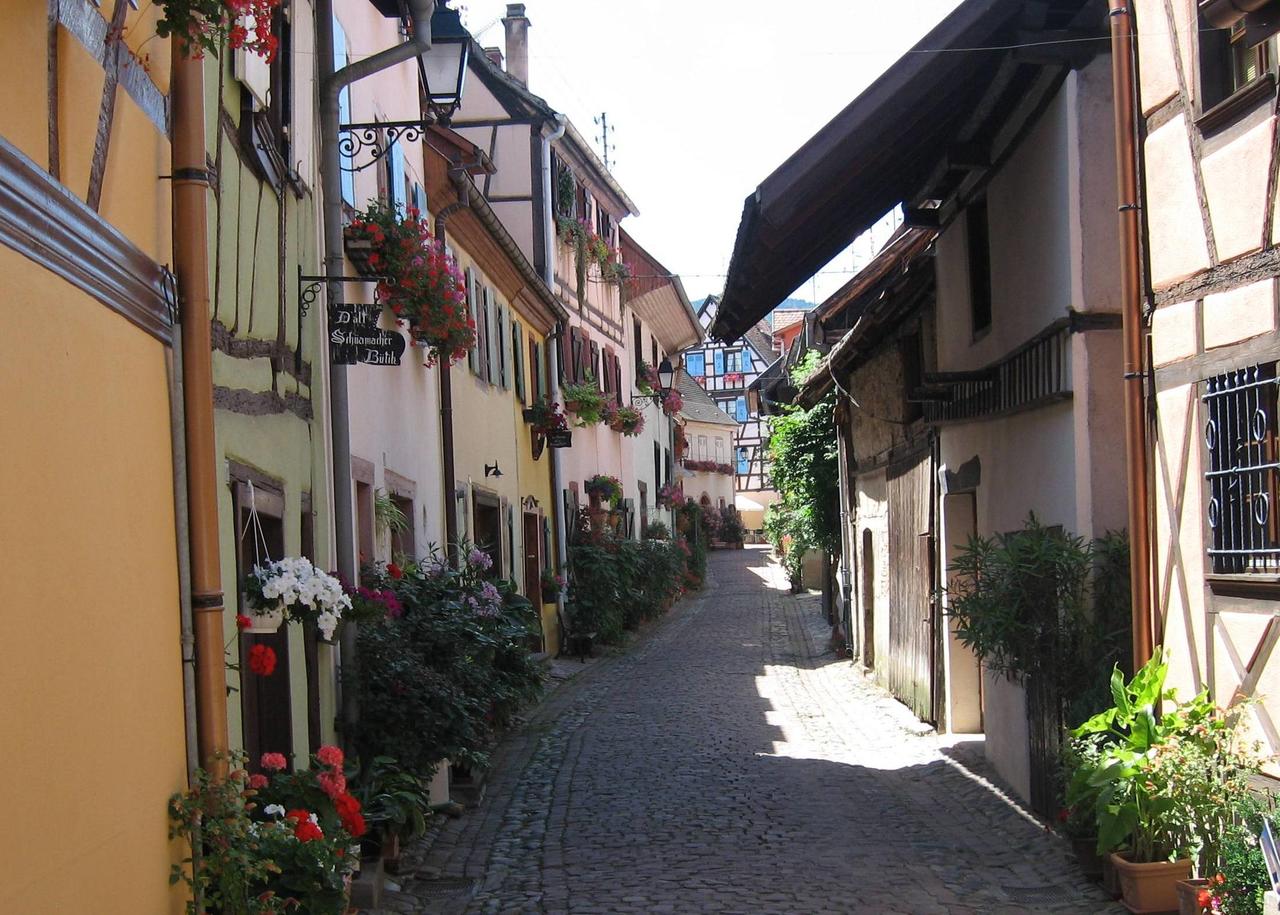 Hanging Baskets and Pots