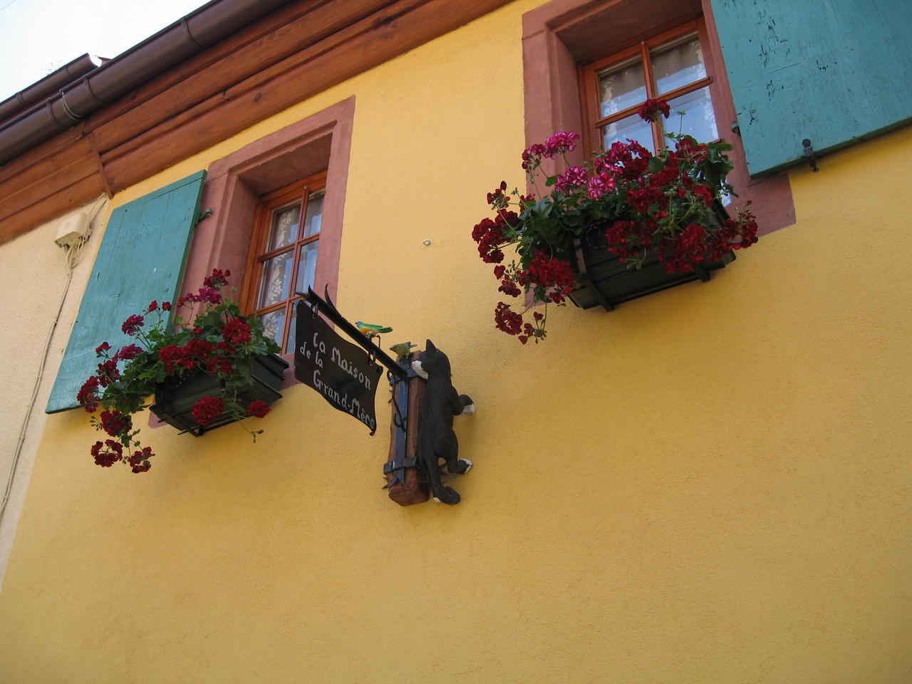 Grandma's House