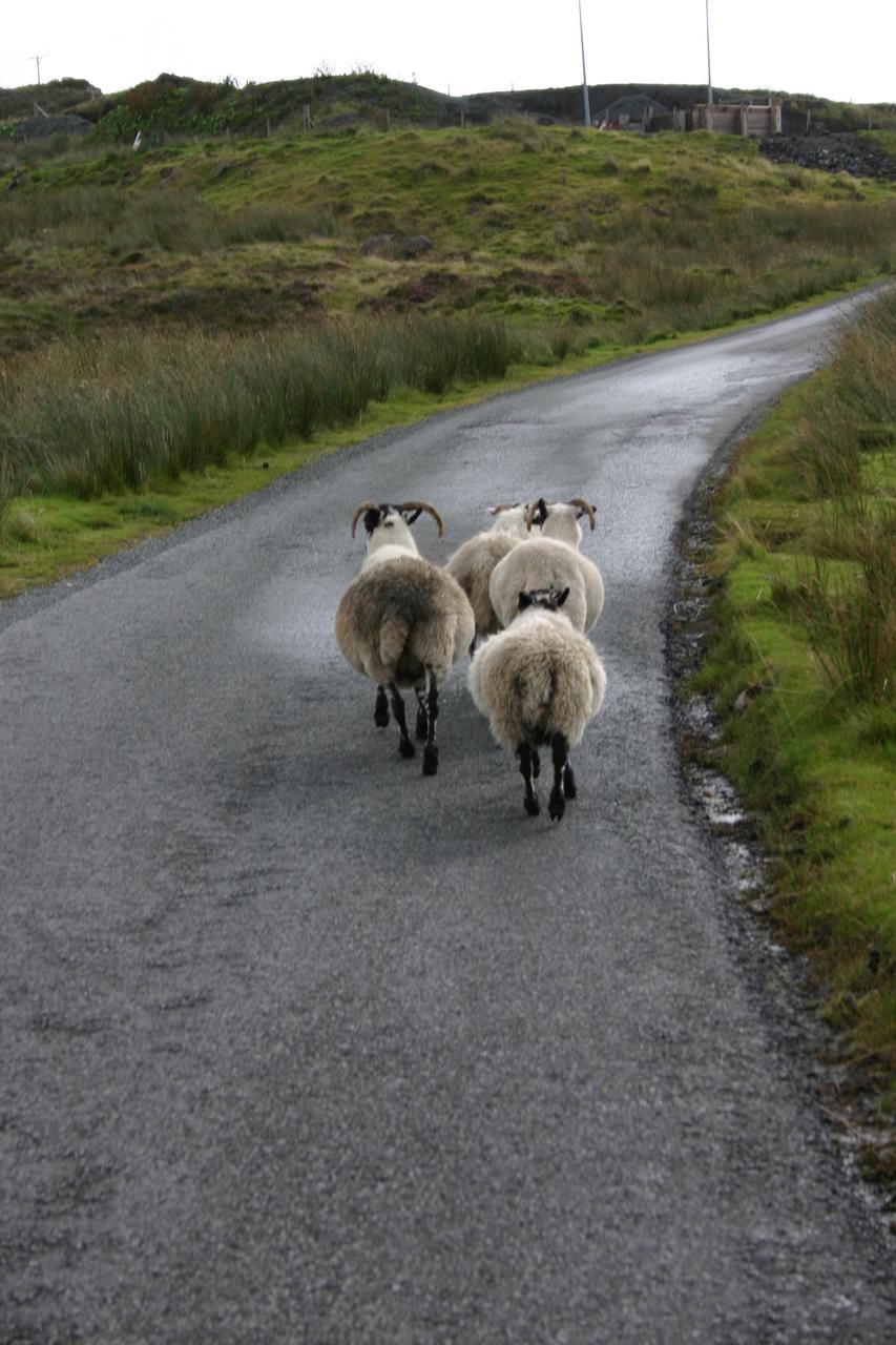 Rushhouronskye