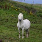 Photo Library - 1187