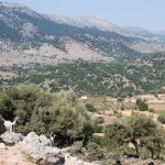 WHITE MOUNTAINS 15.JPG