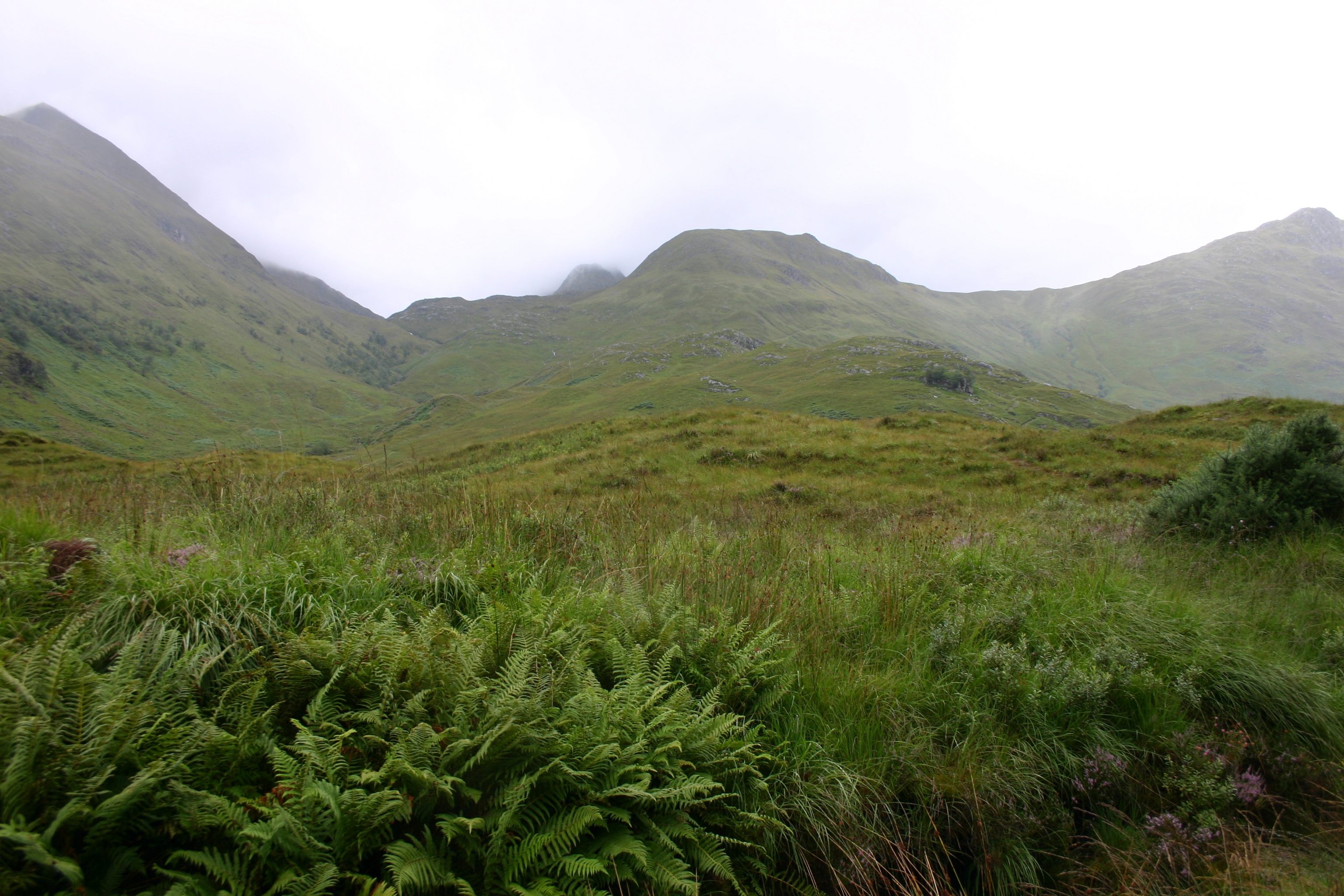 Lochs - 78
